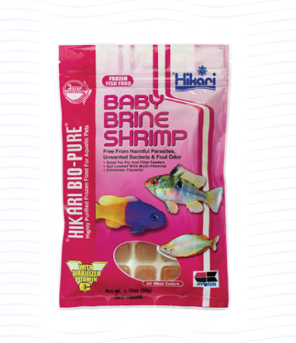 Baby Brine Shrimp 50 GM