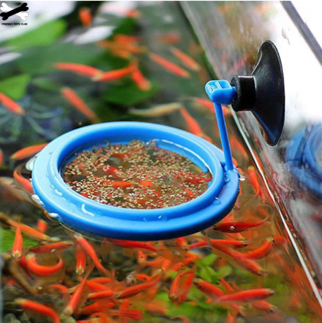 FEEDING RING ROUND