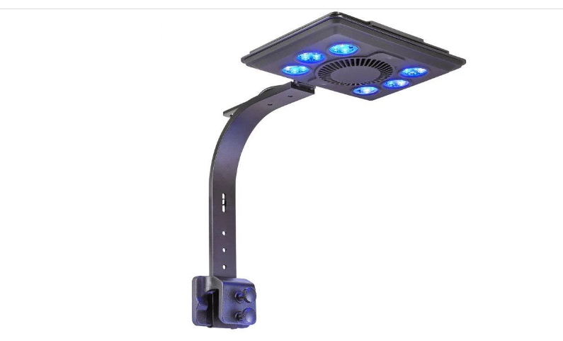 MAXSPECT LED MJ L165 BLUE LIGHT