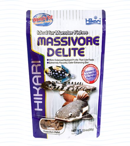 Hikari Massivore Delight 1 KG