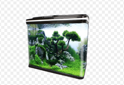 RS1000EF AQUARIUM ONLY (SIZE 100X36X75 CM) BLACK