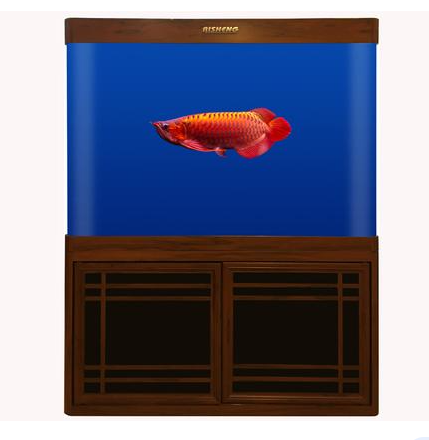 RS120HF AQUARIUM SET BLACK/RED/WHITE (1205X380X900 MM)