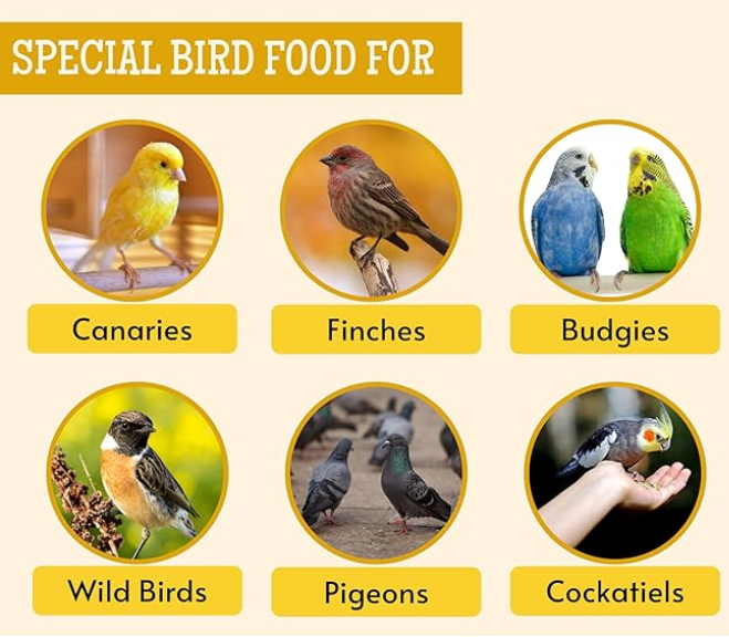 Foodie Puppies Foxtail Millet Kangni Seeds Bird Food - (1Kg, Pouch), High-Fiber Balanced Nutritious Daily Diet & Suitable for Canary, Finch, Waxbill, Budgies, Lovebird, Cockatiel, Parrot & Parakeet