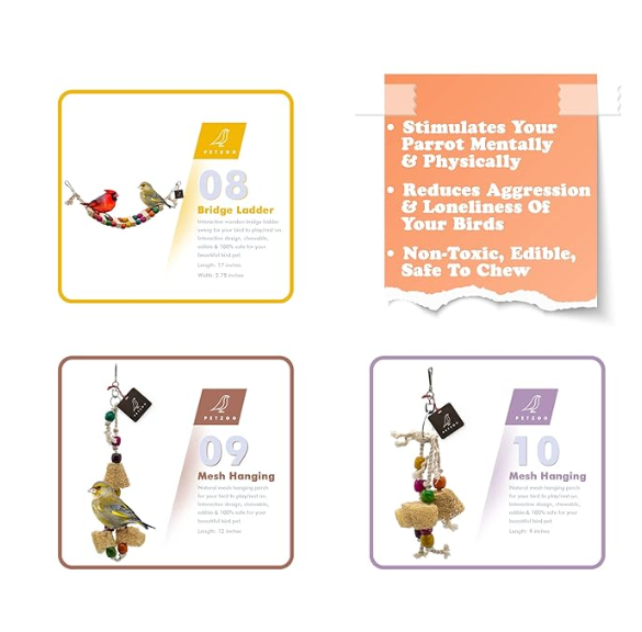 PETZOO Bird Toys Combo of 10 Cage Accessory for Budgies, Cockatiels, Love Birds, African Grey Parrots & All Big Birds and Parrots
