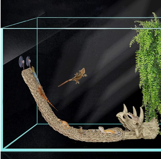 Tfwadmx Dinosaur Triceratops Skull Bearded Dragon Tank Accessories Reptiles Seagrass Habitat Hammock Hideout Cave for Lizard Chameleon Snake Spider Frog Gecko