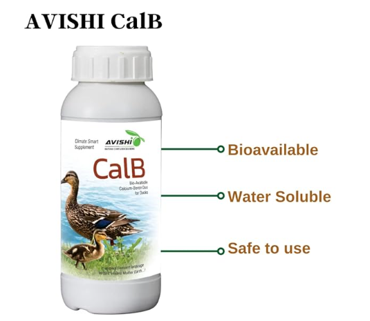 Avishi CalB Calcium-Boron (1 LTR) Active Calcium for Ducks, Organic Feed Supplement for Strong Bones, Fast Wound Healing and Embryonic Development