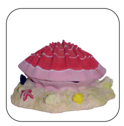 Action Shell Medium BA-066 (13x13x7)
