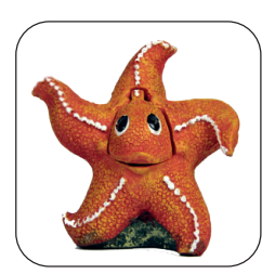 Action Star Fish Orange BA-002A (8.5x4x11)