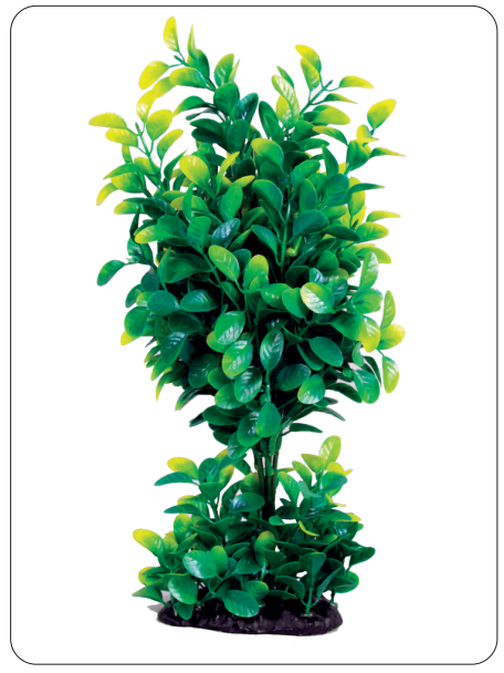 Aquarium Plants (AP-307 C)