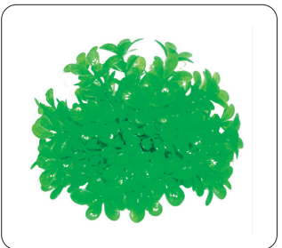 Aquarium Plants (AP-501)