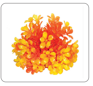 Aquarium Plants (Ap-503)