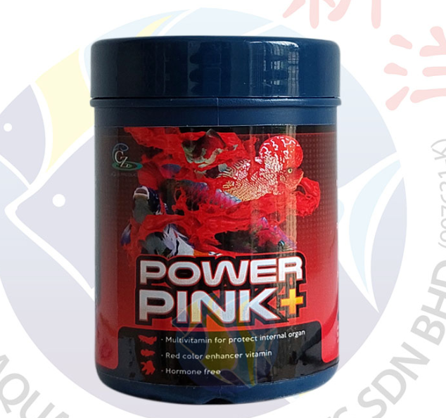 POWER PINK PLUS 25GM