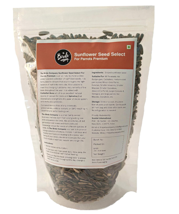 Sunflower Seed
