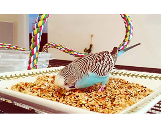 Supreme Budgies Mix