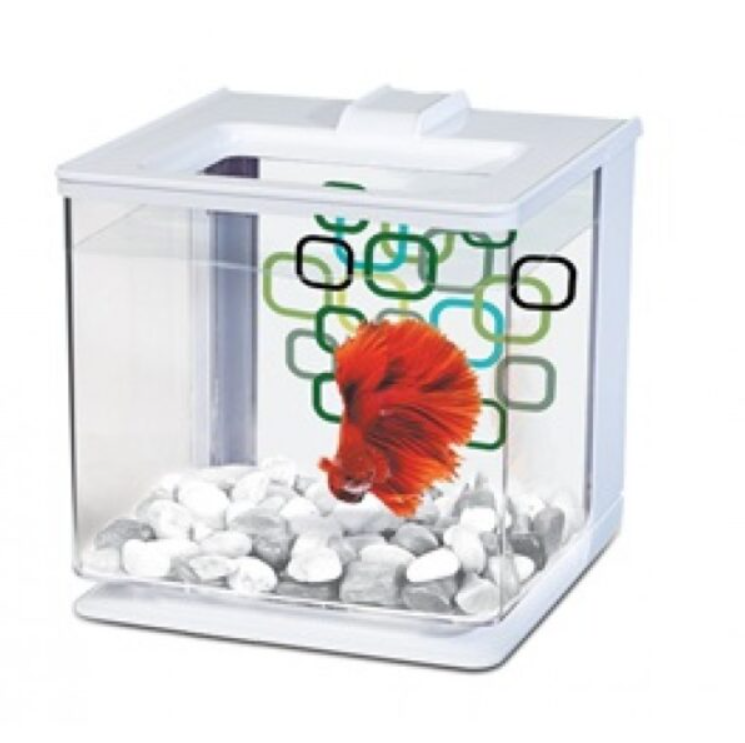 MA 2.5L EZ CARE BETTA KIT -BLACK
