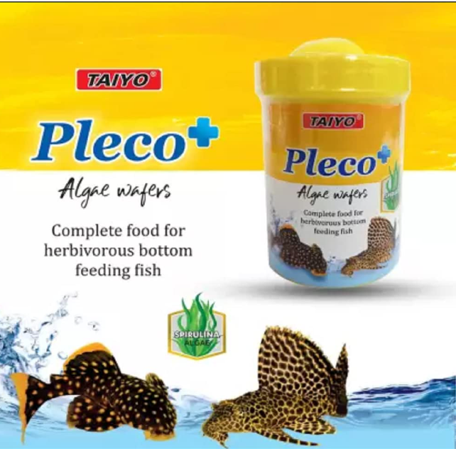 01-3886 Taiyo Pleco plus 90gm