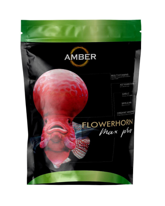 Amber Flowerhorn Fish Food Max Pro