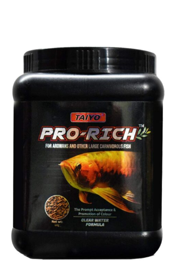 Pro-rich Arowana 60GM