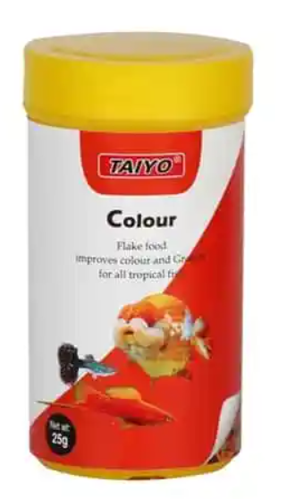 COLOR FLAKE 25 GM-TODAYS