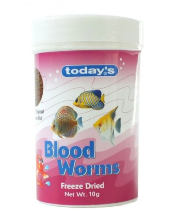BLOOD WORM 10 GM-TODAYS