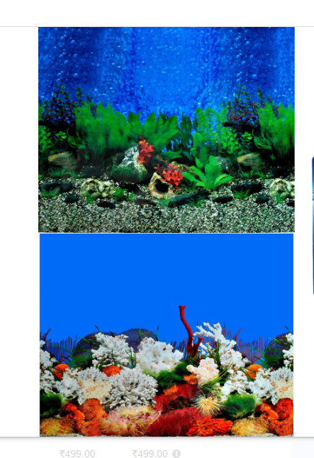 AQUARIUM POSTER 15 INCH