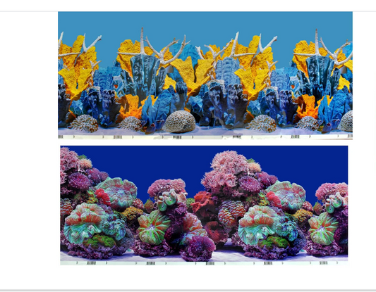 AQUARIUM POSTER 18 INCH