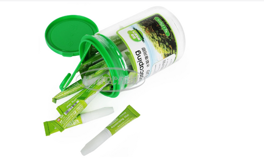 ISTA GLUE GFREEN BOX (24 Pcs)