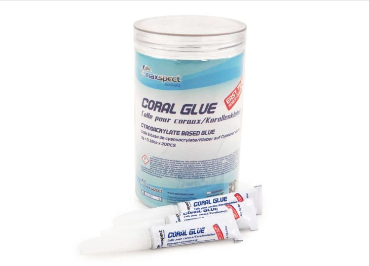 MAXSPECT CORAL GLUE 5GM Box