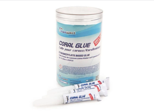 MAXSPECT CORAL GLUE 5GM Box