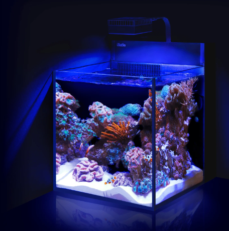 NANO MARINE TANK 45*45*45CM (10MM)