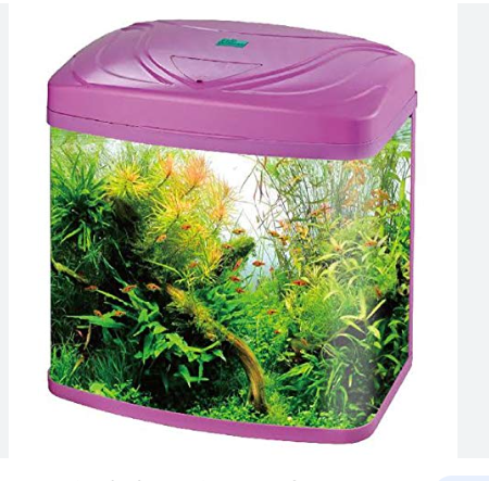 RS480A AQUARIUM BLUE/PINK/BLACK (SIZE 48X24X43 CM)
