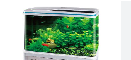 RS600EF AQUARIUM ONLY (SIZE 60X36X56  CM) BLACK