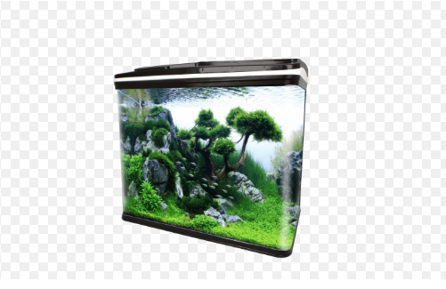 RS800EF AQUARIUM ONLY (SIZE 80X36X75  CM) BLACK