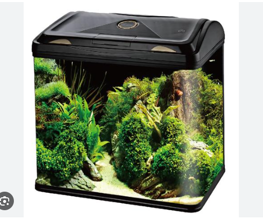 RS800EL AQUARIUM ONLY (SIZE 80X36X75 CM)