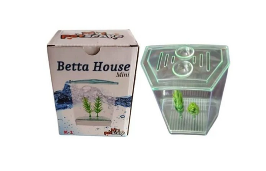 RS BETTA BOX