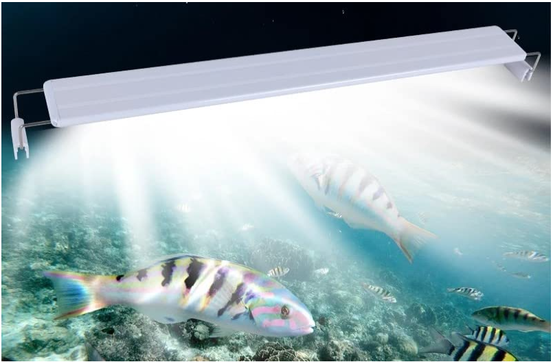 RS T600 LED LAMP (16W)