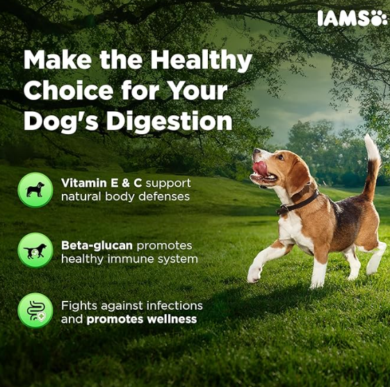 IAMS Proactive Health-Dog Supplement for Healthy Immune System 168g
