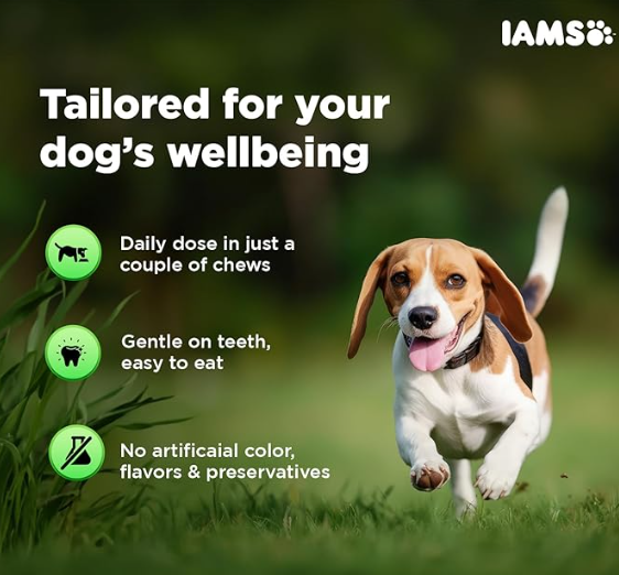 IAMS Proactive Health-Dog Supplement for Healthy Immune System 168g