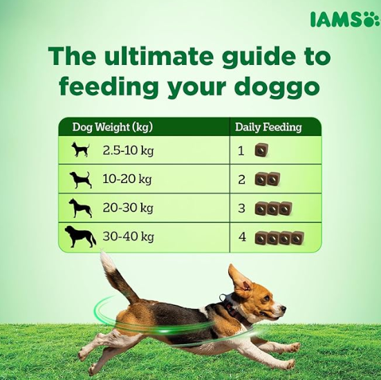IAMS Proactive Health-Dog Supplement for Healthy Immune System 168g