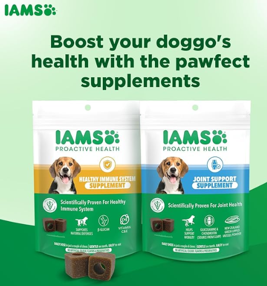IAMS Proactive Health-Dog Supplement for Healthy Immune System 168g