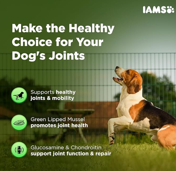 IAMS Proactive Health- Dog Supplement for Joint Support 168g