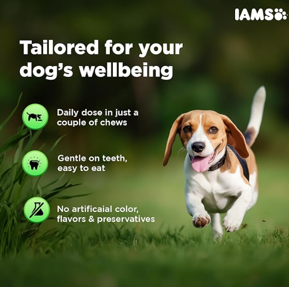 IAMS Proactive Health- Dog Supplement for Joint Support 168g