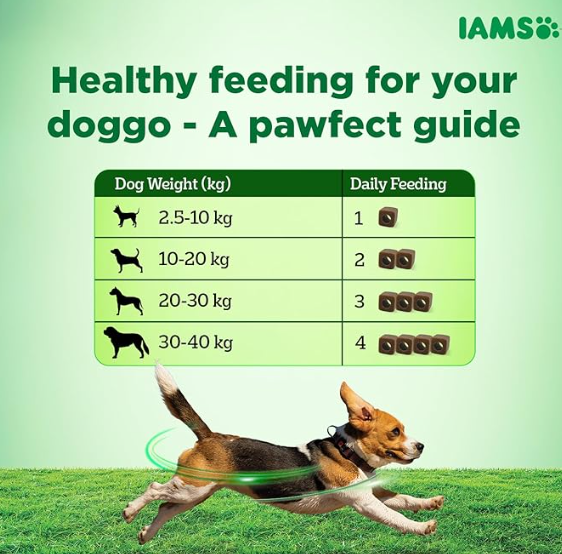 IAMS Proactive Health- Dog Supplement for Joint Support 168g