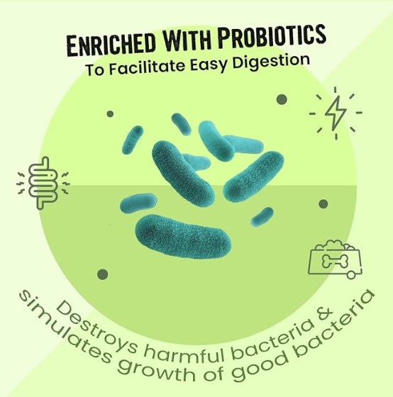 Vivaldis Endewor Dewormer for Dogs and Cats, Natural Enzyme and Probiotic Based Supplements for Gut Health to Kill & Expels Parasites - 1X10 Tablets