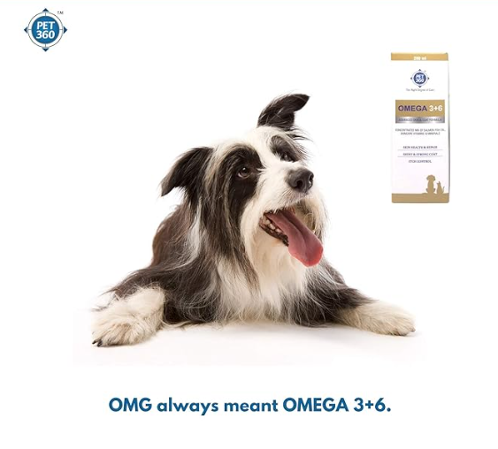 PET360 Omega 3+6 Concentrated Salmon Fish Oil with Vitamins, Minerals & Taurine, Advanced Skin & Coat Formula for Dogs & Cats (200 ml, Pack of 1)