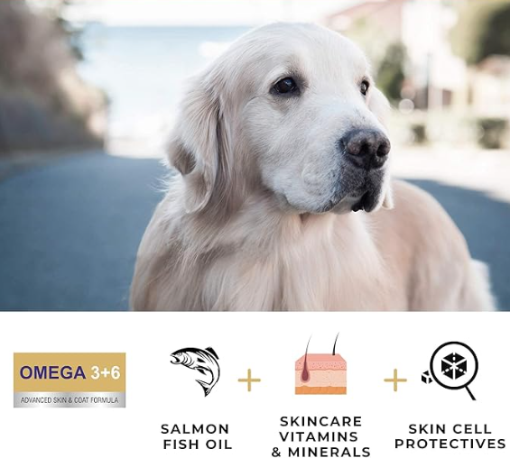PET360 Omega 3+6 Concentrated Salmon Fish Oil with Vitamins, Minerals & Taurine, Advanced Skin & Coat Formula for Dogs & Cats (200 ml, Pack of 1)