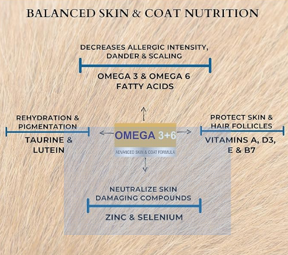 PET360 Omega 3+6 Concentrated Salmon Fish Oil with Vitamins, Minerals & Taurine, Advanced Skin & Coat Formula for Dogs & Cats (200 ml, Pack of 1)