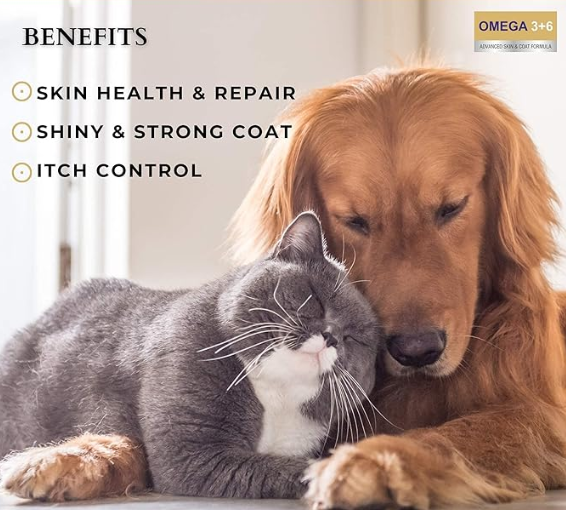 PET360 Omega 3+6 Concentrated Salmon Fish Oil with Vitamins, Minerals & Taurine, Advanced Skin & Coat Formula for Dogs & Cats (200 ml, Pack of 1)