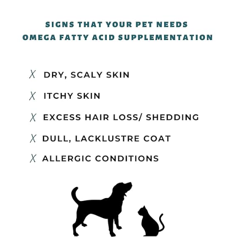 PET360 Omega 3+6 Concentrated Salmon Fish Oil with Vitamins, Minerals & Taurine, Advanced Skin & Coat Formula for Dogs & Cats (200 ml, Pack of 1)
