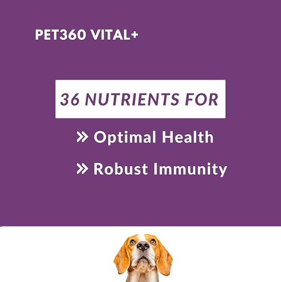 PET360 Vital+, Premium Blend of Multivitamins, Amino Acids & Minerals, Advanced Wellness Formula with Antioxidants & Immunity Booster for Dogs & Cats (500 ml)